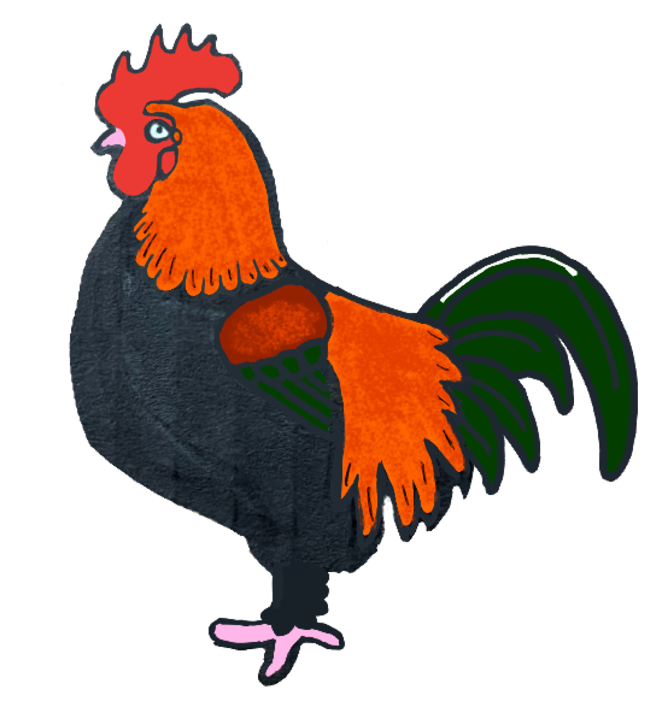 Copper French Marans Mug